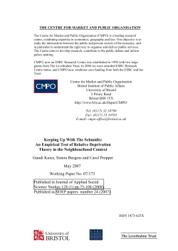 Keeping Up With The Schmidts: An Empirical Test of Relative