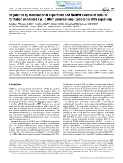 Regulation by mitochondrial superoxide and NADPH oxidase of