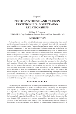 photosynthesis and carbon partitioning / source