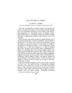 THE ENZYMES OF FIBRIN2 The cells of