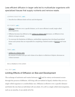 Less efficient diffusion in larger cells led to multicellular organisms