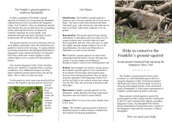 Help us conserve the Franklin`s ground squirrel