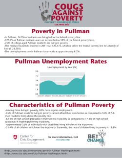 Poverty in Pullman-2