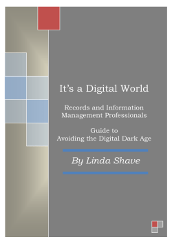 eBook Avoiding the digital dark age