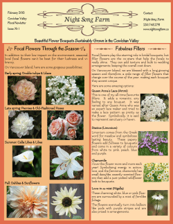 February Newsletter - Night Song Farm Flowers