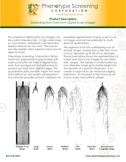 Product Description Extracting Root Traits from Digital X
