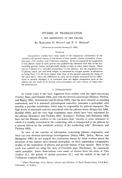 STUDIES IN TRANSLOCATION I. THE RESPIRATION OF THE