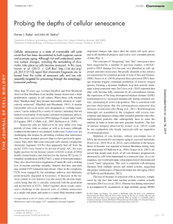 Probing the depths of cellular senescence