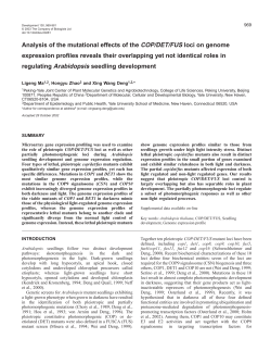 Analysis of the mutational effects of the COP/DET/FUS loci on