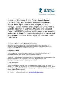 Monoclonal anti-β1-adrenergic receptor antibodies activate G