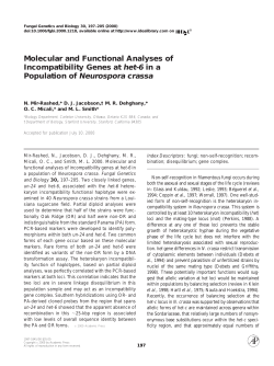 Mir-Rashed - Stanford University
