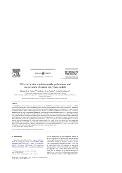 Effects of spatial resolution on the performance and interpretation of