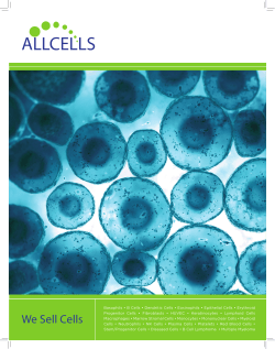 AllCells.com