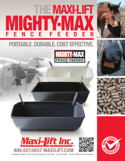 Mighty-Max Fence Feeder - Maxi