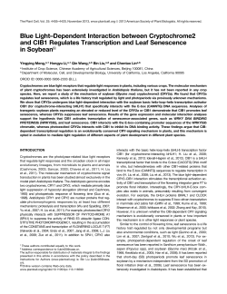 Blue Light&ndash;Dependent Interaction between