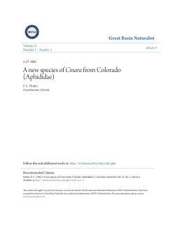 A new species of Cinara from Colorado