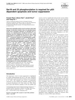 Ser18 and 23 phosphorylation is required for p53