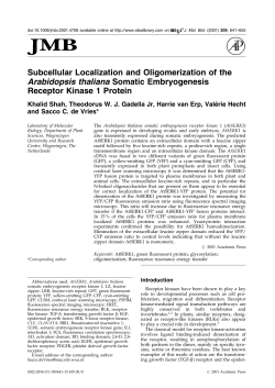 Subcellular Localization and Oligomerization of the Arabidopsis