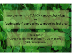 Improvements to CLM-‐CN canopy physiology and `opfmizafon