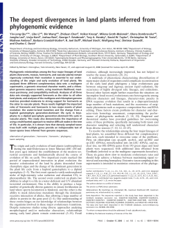 The deepest divergences in land plants inferred from