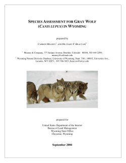 SPECIES ASSESSMENT FOR GRAY WOLF (CANIS LUPUS) IN