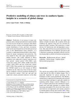 Predictive modelling of climax oak trees in southern Spain: insights
