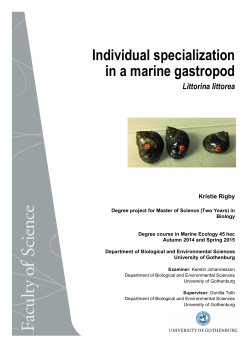 Individual specialization in a marine gastropod