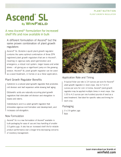 Ascend&reg; SL