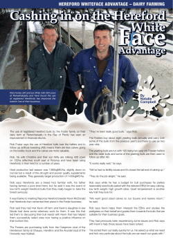 Cashing in on the Hereford White Face Advantage