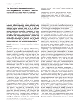 The Association between Handedness, Brain