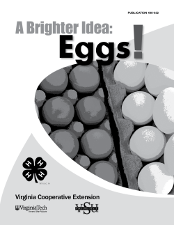 A Brighter Idea: Eggs!