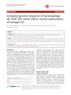 Complete genome sequence of bacteriophage vB_YenP_AP5
