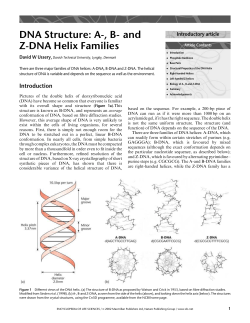 DNA Structure
