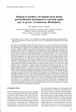Disposal of auxiliary cell haploid nuclei during post