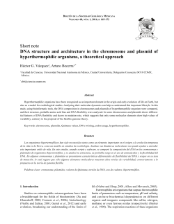 DNA structure and architecture in the chromosome and plasmid of
