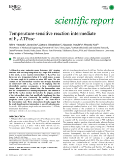 PDF - Wiley Online Library