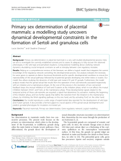 Primary sex determination of placental mammals: a modelling study