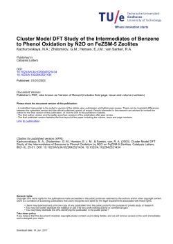 Cluster Model DFT Study of the Intermediates of Benzene to Phenol