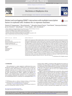 Distinct and overlapping DNMT1 interactions with multiple