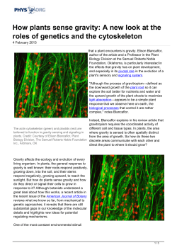 How plants sense gravity: A new look at the roles of
