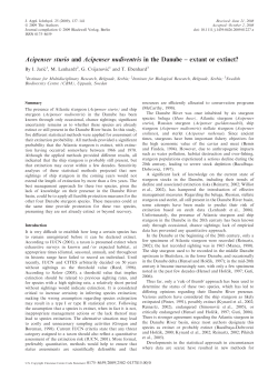 Acipenser sturio and Acipenser nudiventris in the Danube