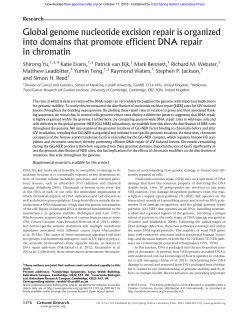 Global genome nucleotide excision repair is organized into