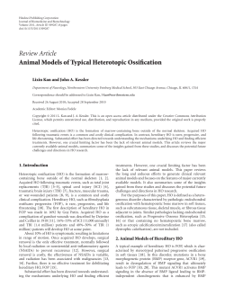 Animal Models of Typical Heterotopic Ossification