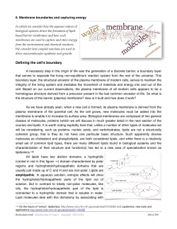 Ch 6: Membranes + Energy