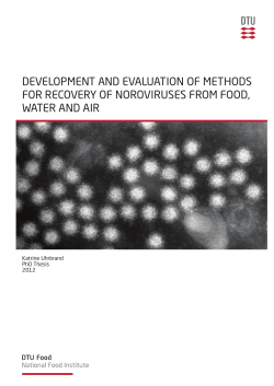 development and evaluation of methods for recovery of noroviruses