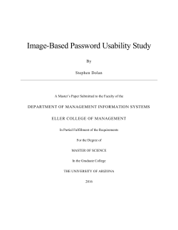 Image-Based Password Usability Study - Master`s in MIS