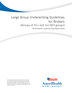 Large Group Underwriting Guidelines for Brokers