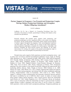 Partner Support in Pregnancy: Can Prenatal and Postpartum