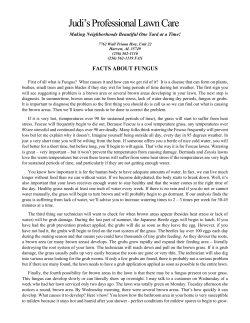 Facts About Fungus - Judi`s Professional Lawn Care