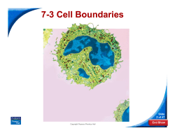 7-3 Cell Boundaries